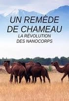 Un remède de chameau La révolution des nanocorps