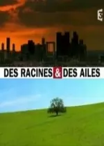 Des racines et des ailes - Depuis Séville : En Andalousie