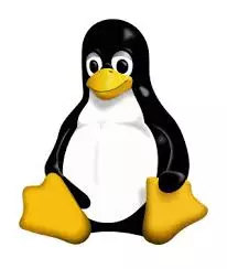 Les Commandes de Base de Linux Ubuntu Server [Tutoriels]