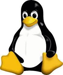 UDEMY - GNU/LINUX DE DÉBUTANT À CONFIRMÉ EN QUELQUES HEURES  [Tutoriels]