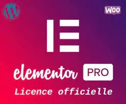 Blogueur - Créez le thème de votre site avec Elementor PRO [Tutoriels]