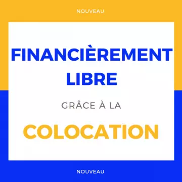 AUDREY PERRIN - LA COLOCATION  [Tutoriels]