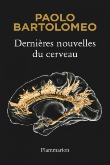 Dernières nouvelles du cerveau [Livres]