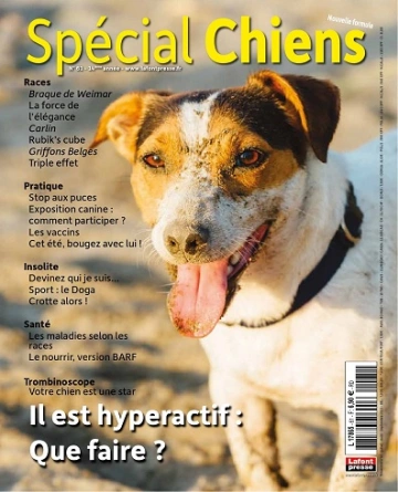 Spécial Chiens N°61 – Juillet-Septembre 2023  [Magazines]