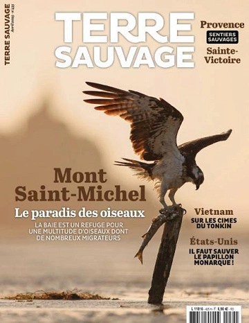 Terre Sauvage - Avril 2025 [Magazines]