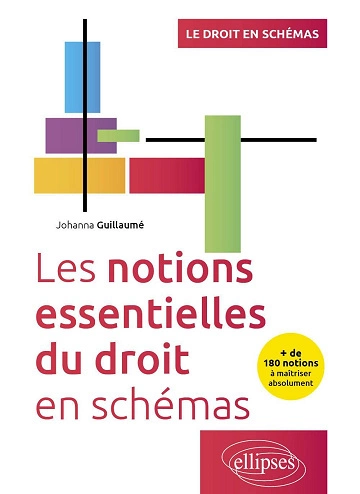 Les notions essentielles du droit en schémas [Livres]