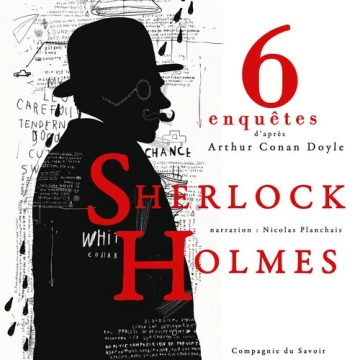 6 nouvelles enquêtes de Sherlock Holmes et du Dr Watson - Arthur Conan Doyle  [AudioBooks]