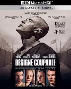 Désigné Coupable [WEB-DL 4K] - MULTI (TRUEFRENCH)