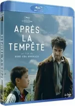 Après la tempête  [BLU-RAY 720p] - FRENCH