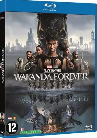 Black Panther : Wakanda Forever  [HDLIGHT 1080p] - MULTI (FRENCH)