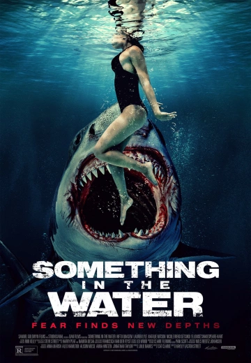 Something In The Water [WEB-DL 1080p] - MULTI (FRENCH)