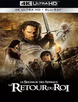 Le Seigneur des anneaux : le retour du roi  [BLURAY REMUX 4K] - MULTI (FRENCH)