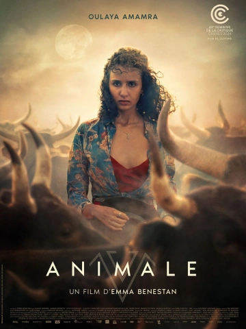 Animale [WEB-DL 720p] - FRENCH