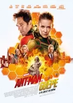 Ant-Man et la Guêpe [TS MD] - MULTI (TRUEFRENCH)