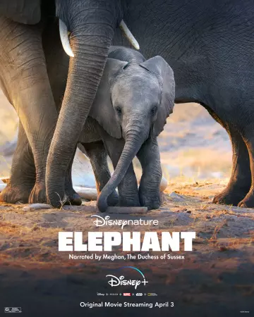 Elephant [HDRIP] - FRENCH