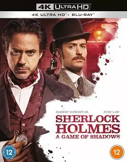 Sherlock Holmes 2 : Jeu d'ombres  [4K LIGHT] - MULTI (TRUEFRENCH)