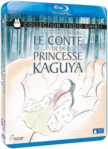 Le Conte de la princesse Kaguya  [HDLIGHT 1080p] - MULTI (FRENCH)