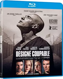 Désigné Coupable  [BLU-RAY 1080p] - MULTI (TRUEFRENCH)