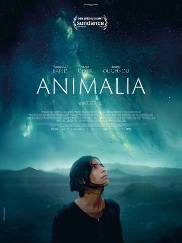 Animalia [WEB-DL 1080p] - FRENCH