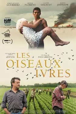 Les Oiseaux Ivres [WEB-DL 1080p] - FRENCH