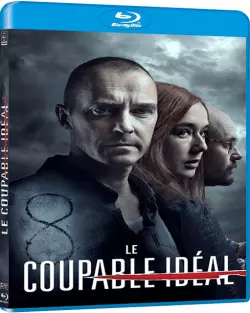 Le Coupable idéal  [HDLIGHT 1080p] - MULTI (FRENCH)