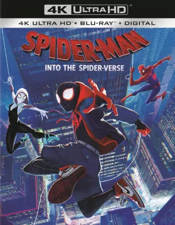 Spider-Man : New Generation [BLURAY REMUX 4K] - MULTI (FRENCH)