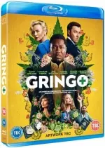 Gringo  [HDLIGHT 1080p] - FRENCH