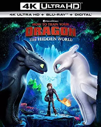 Dragons 3 : Le monde caché [BLURAY REMUX 4K] - MULTI (TRUEFRENCH)