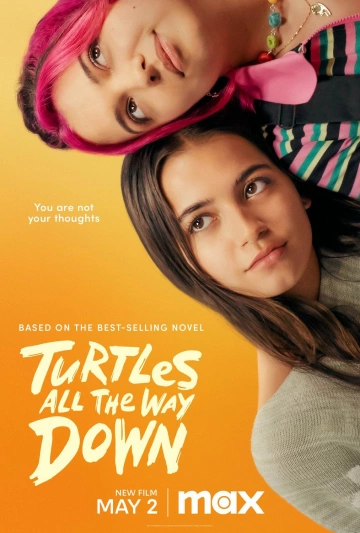 Turtles All The Way Down  [HDRIP] - FRENCH