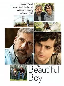 My Beautiful Boy [BDRIP] - TRUEFRENCH