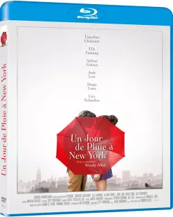 Un jour de pluie à New York [BLU-RAY 720p] - FRENCH