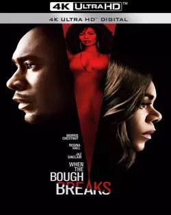 When The Bough Breaks [WEB-DL 4K] - MULTI (FRENCH)