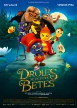 Drôles de petites bêtes [BDRIP] - FRENCH