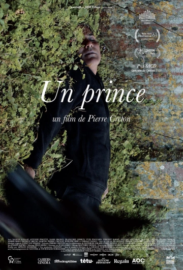 Un Prince  [WEBRIP 720p] - FRENCH