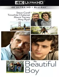 My Beautiful Boy [WEB-DL 4K] - MULTI (TRUEFRENCH)