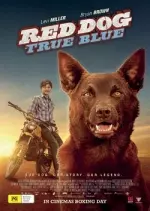 Red Dog: True Blue  [HDRIP] - FRENCH