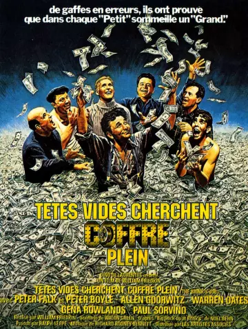 Têtes vides cherchent coffres pleins [DVDRIP] - TRUEFRENCH