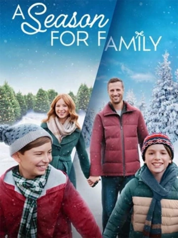 Un merveilleux Noël en famille  [WEB-DL 1080p] - MULTI (FRENCH)