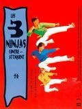 Les 3 ninjas contre-attaquent  [WEB-DL 1080p] - MULTI (FRENCH)