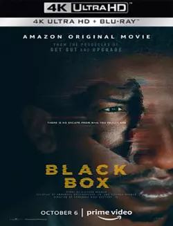 Black Box  [WEB-DL 4K] - MULTI (FRENCH)