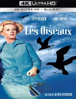 Les Oiseaux  [BLURAY REMUX 4K] - MULTI (FRENCH)