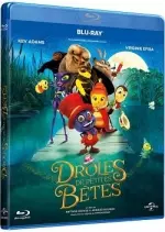 Drôles de petites bêtes  [BLU-RAY 1080p] - FRENCH