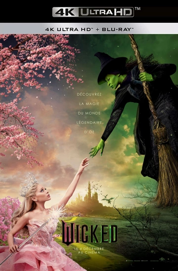 Wicked  [WEBRIP 4K] - MULTI (FRENCH)