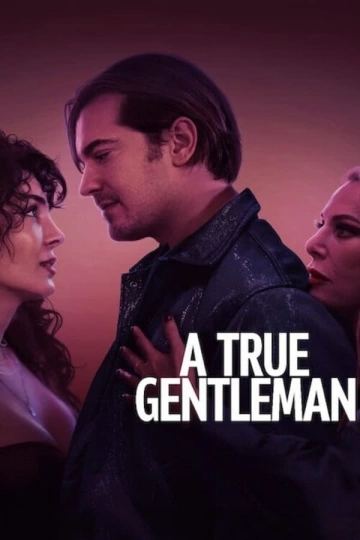 Un Parfait Gentleman [WEBRIP 720p] - FRENCH