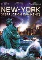 New-York : destruction imminente  [Dvdrip XviD] - FRENCH