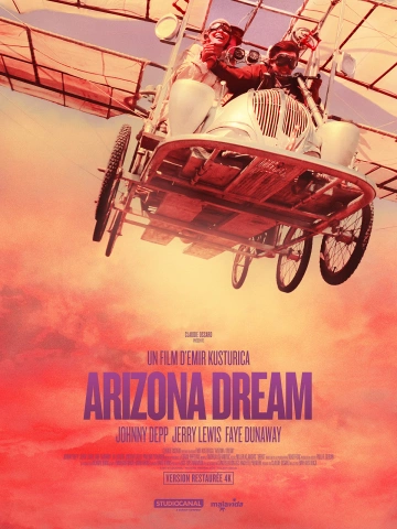 Arizona Dream [WEB-DL 1080p] - MULTI (FRENCH)