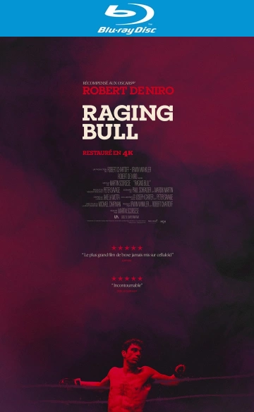 Raging Bull  [HDLIGHT 1080p] - FRENCH