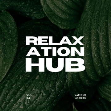 FLAC RELAXATION HUB VOL. 4  [Albums]