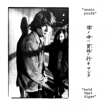 FLAC Sonic Youth - Hold that Tiger [Albums]