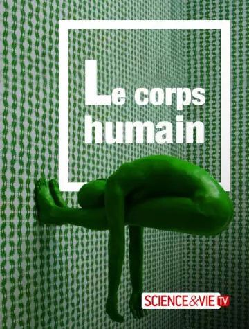 Le corps humain - Saison 1 - vf